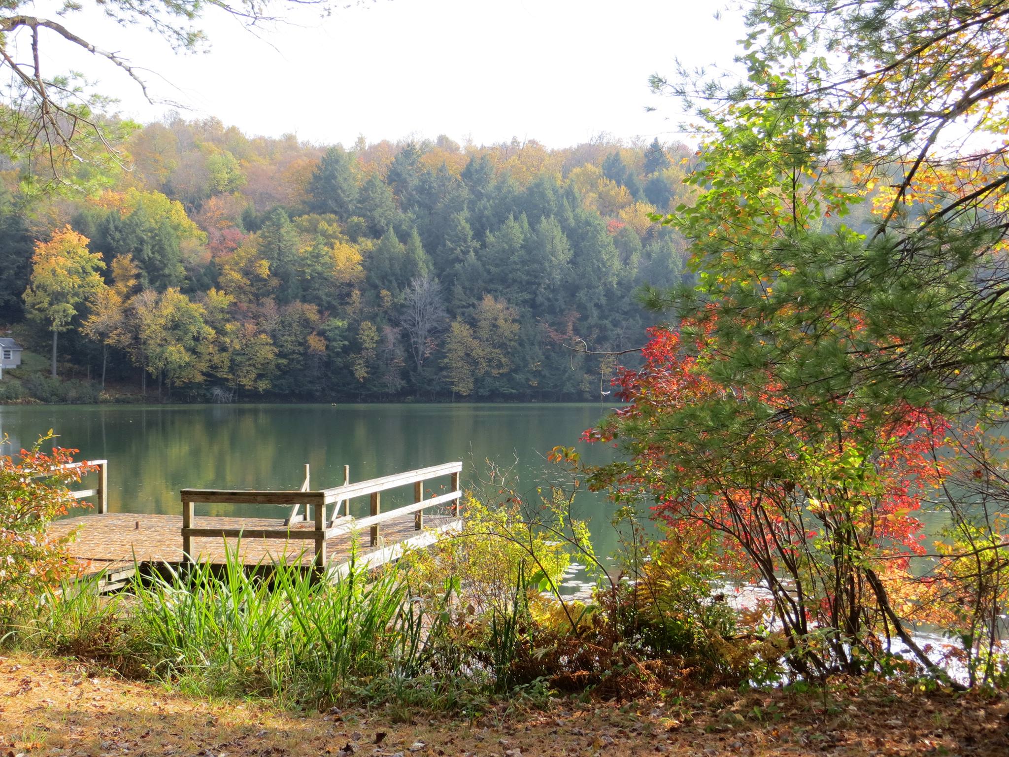 Dock on a lake in fall.