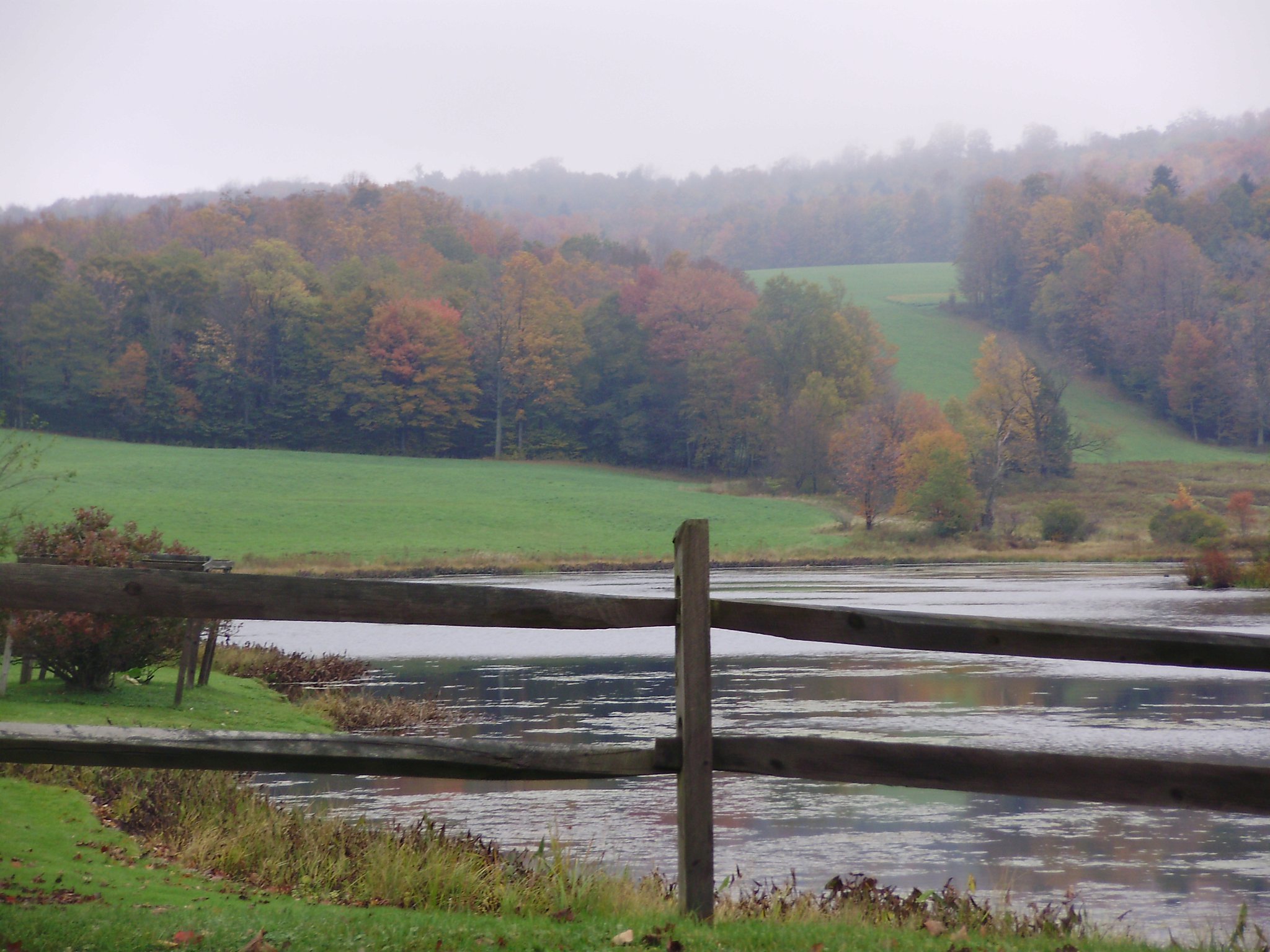 Susquehanna County mountains covered in fog.
