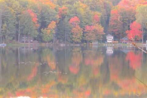 Fall image NEPA